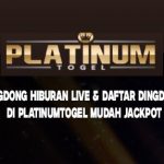 Dingdong Hiburan Live & Daftar Dingdong Di Platinumtogel Mudah Jackpot