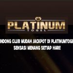 Dingdong Hiburan Live & Dingdong Di Platinumtogel Mudah Jackpot
